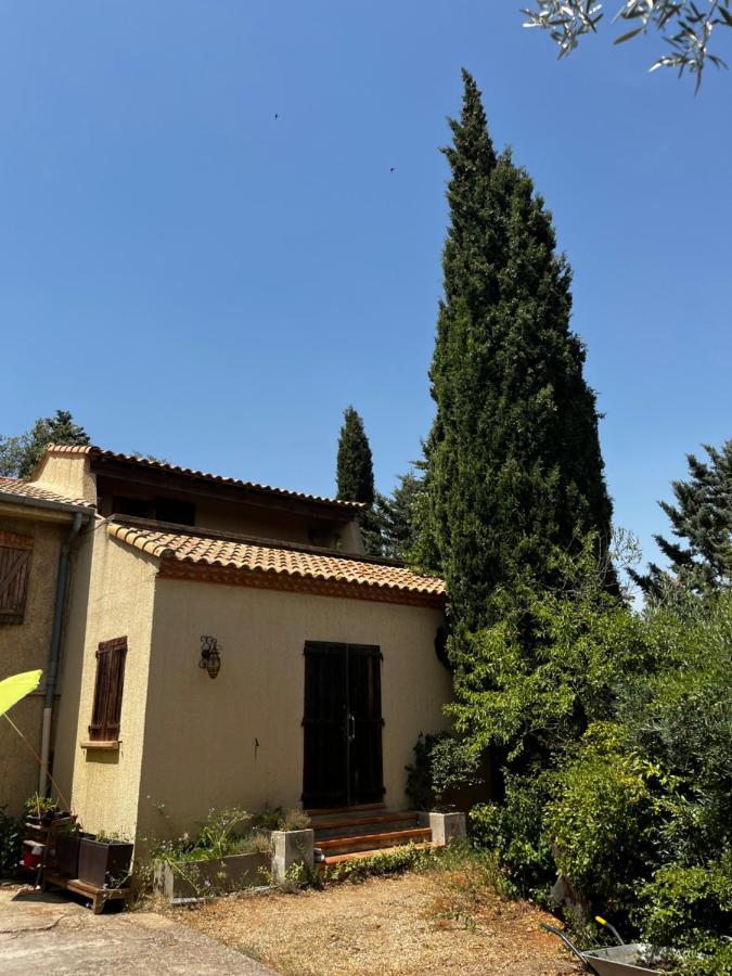 Le Mazet De Choubouloute Bed & Breakfast แซ็ง จิลส์ ภายนอก รูปภาพ