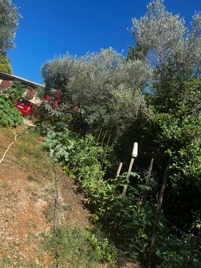 Le Mazet De Choubouloute Bed & Breakfast แซ็ง จิลส์ ภายนอก รูปภาพ